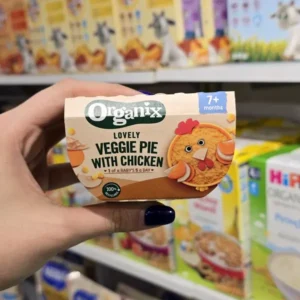 غذای آماده اورگانیکس Organix1
