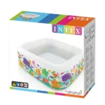 INTEX 57471